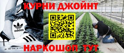 гидропоника Ирбит