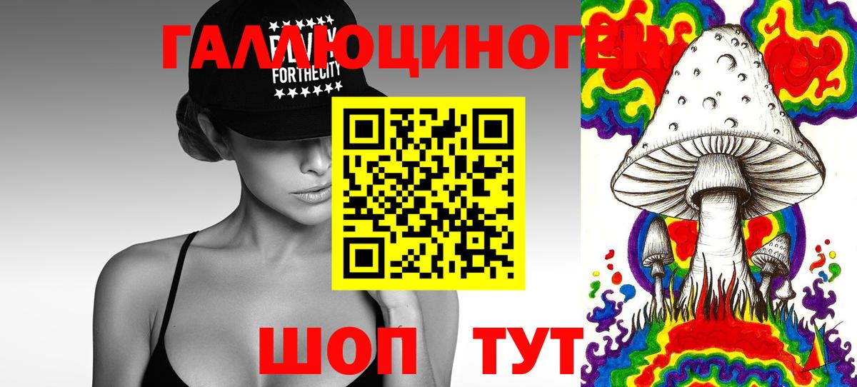 Орехово-Зуево  Псилоцибиновые грибы Psilocybe  где найти наркотики  Вход с VPN 