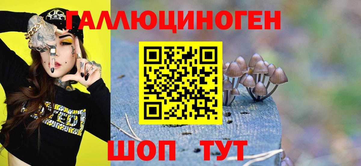 Галлюциногенные грибы Psilocybine cubensis Орехово-Зуево